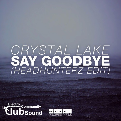 Crystal Lake - Say Goodbye (Headhunterz Edit).jpg