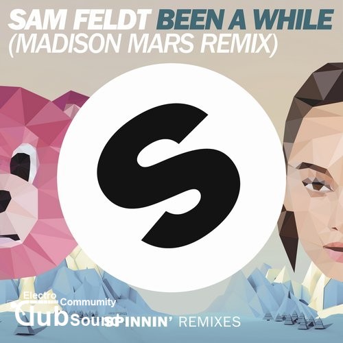 Sam Feldt - Been A While (Madison Mars Remix).jpg