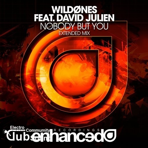 WildOnes feat. David Julien - Nobody But You (Extended Mix).jpg