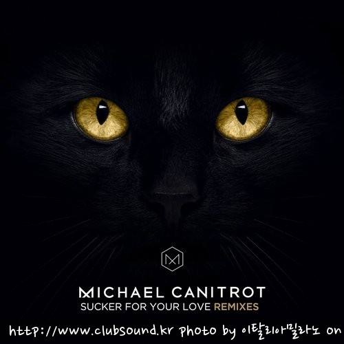 Michael Canitrot - Sucker for Your Love (Futuristic Polar Bears Remix).jpg