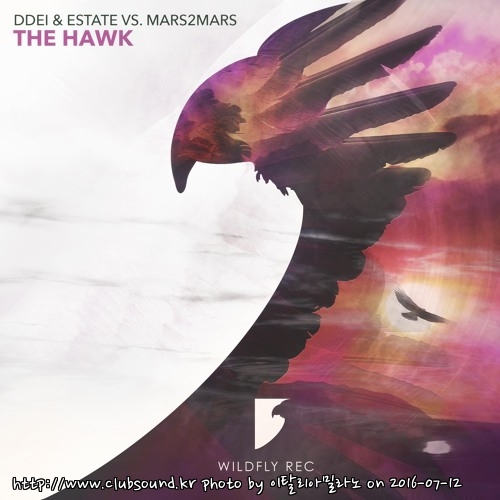 DDei&Estate X Mars2Mars - The Hawk (Original Mix).jpg