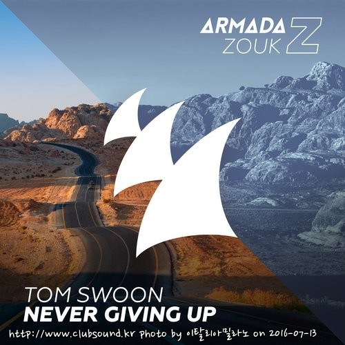 Tom Swoon - Never Giving Up (Extended Mix).jpg