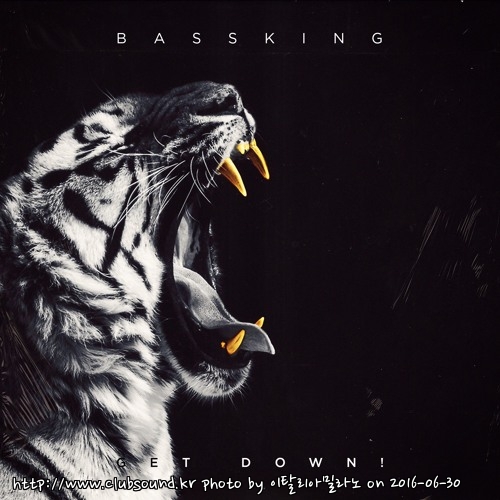 Bass King - Get Down! (Original Mix).jpg