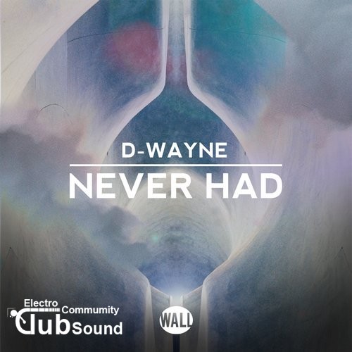 D-Wayne - Never Had (Extended Mix).jpg