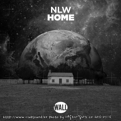 Afrojack pres. NLW - Home (Extended Mix).jpg