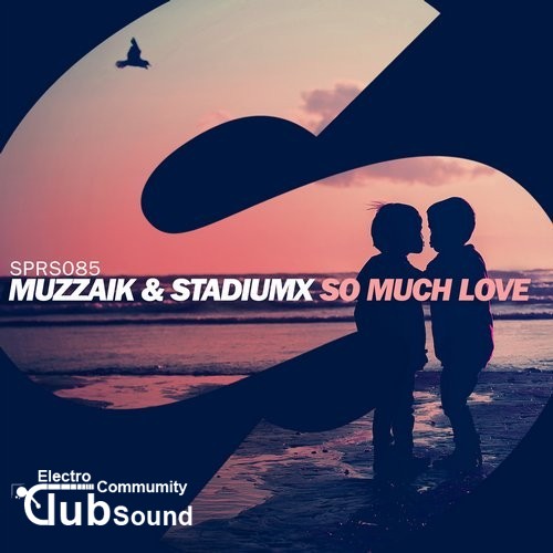 Muzzaik & Stadiumx - So Much Love (Original Mix).jpg