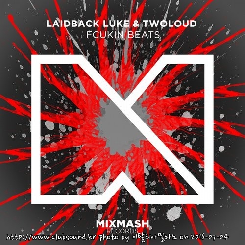 Laidback Luke & TWOLOUD - Fcukin Beats (Extended Mix).jpg