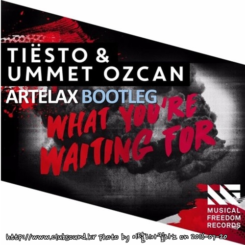 Tiesto & Ummet Ozcan - What U R Waiting For (Artelax Bootleg).jpg