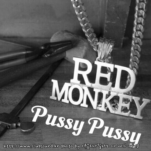 Red Monkey - Pussy Pussy (Original Mix).jpg