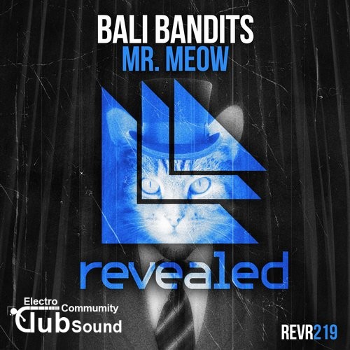 Bali Bandits - Mr. Meow (Extended Mix).jpg