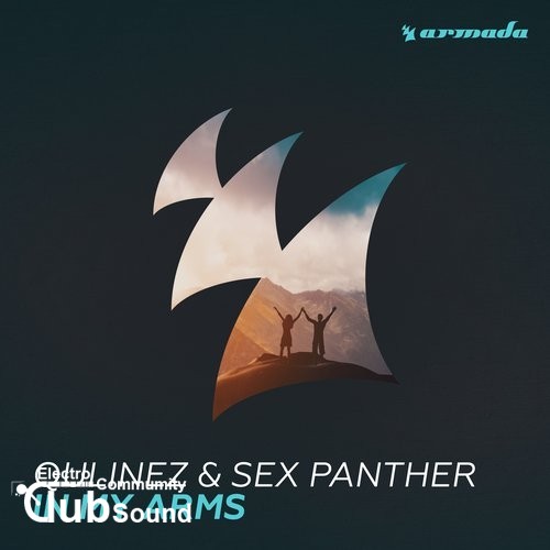 Qulinez & Sex Panther - In My Arms (Extended Mix).jpg