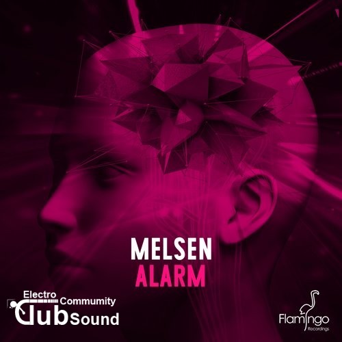 Melsen - Alarm (Original Mix).jpg