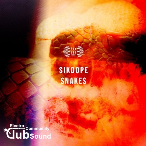 Sikdope - Snakes (Extended Mix).jpg