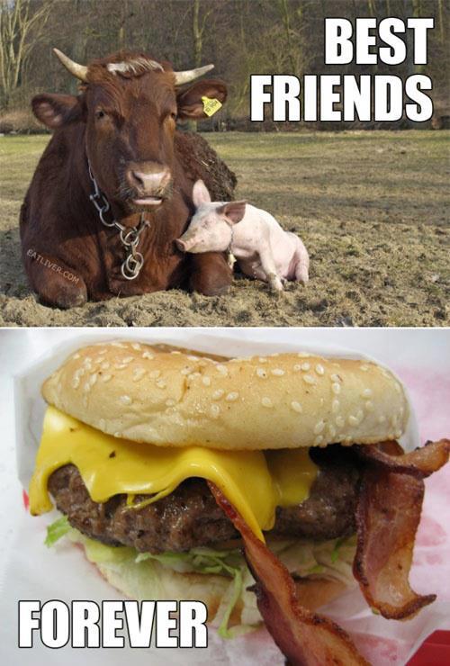 1.jpg : Best friends, forever