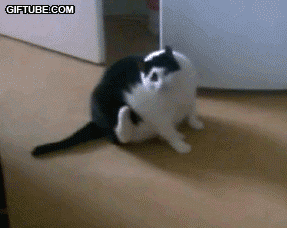 씁쓸하구만.gif