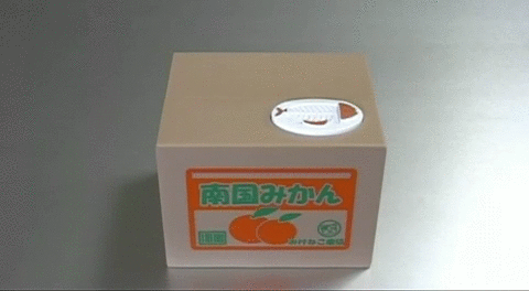 tumblr_m665z4mcis1qbyxr0o1_500.gif : 열도의 흔한 도둑고양이.