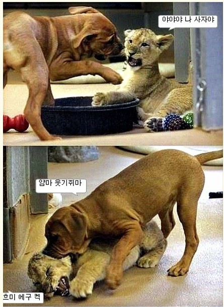 __134703854762285.jpg : 두고보자 ㄱ ㅅ ㄲ
