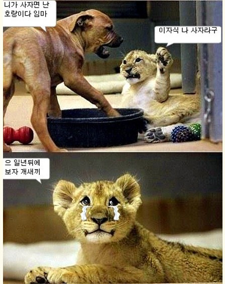 __134703855381527.jpg : 두고보자 ㄱ ㅅ ㄲ