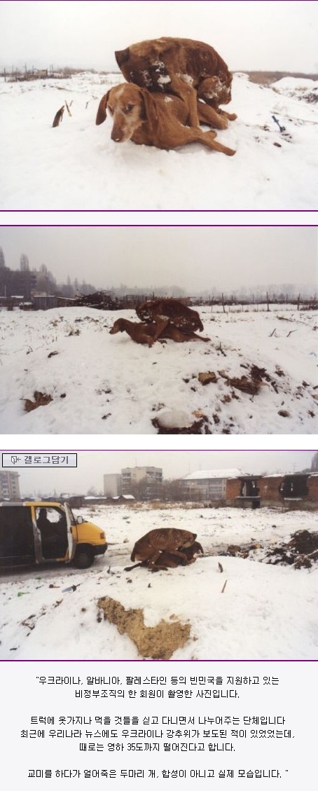 6.jpg : 죽음을 초월한 성욕