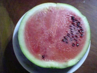 수박_1~1.JPG : 수박