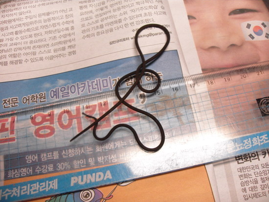 19.jpg : [엽기] 연가시의 얼굴