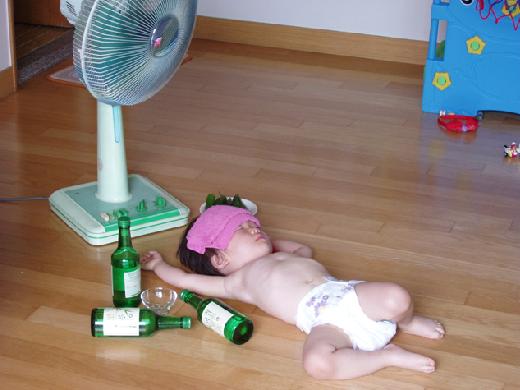 %C8%F1%B8%C1%BE%F8%C0%BD_trwodon12.jpg : 음주가무는 만5세부터.