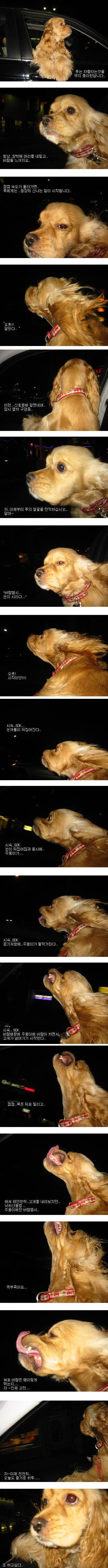 798244_1170727793.jpg : 루의 자동차 체험기.