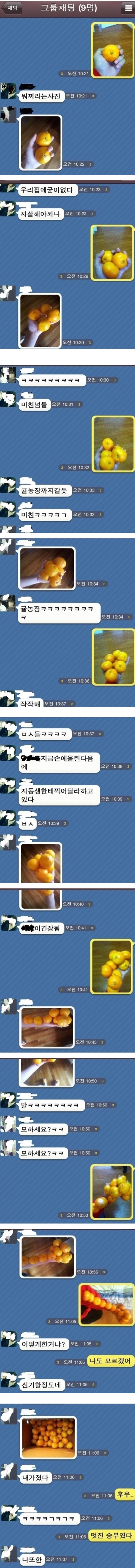 1.JPG : 아놔 귤귤귤