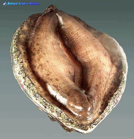 d9fa2797ff6bd4c90942d9ed4299eb27.gif