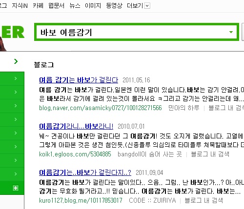 바보는 여름감기에 안걸린다.jpg