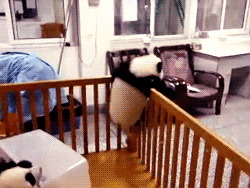 tumblr_lyxyusOxMz1qdsjzio1_250[1].gif : 아... 아 이건 정말 답이 이없다. [여자분들 클릭시 주의하세요ㅋ]