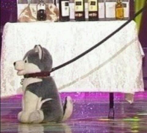 브라우니 물어.jpg