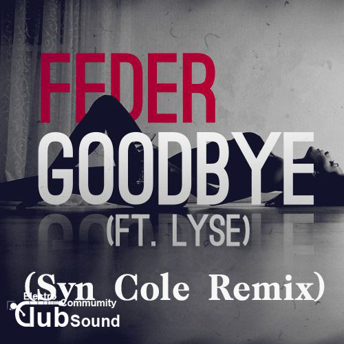 Feder Feat. Lyse - Goodbye (Syn Cole Remix).jpg : Feder Feat. Lyse - Goodbye (Syn Cole Remix)