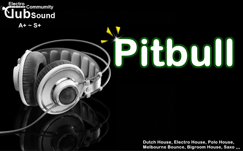 Pitbull Logo by.BigGun.jpg : ★★ 제가 아끼는곡 하나 풉니다 ㅎㅎ / 소장파트 공지 ★★