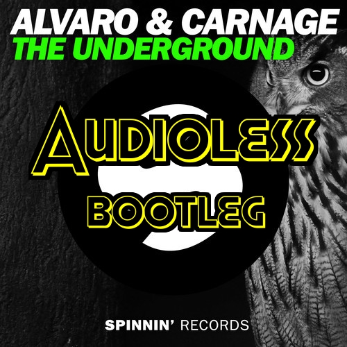 The Underground (Audioless Festival bootleg).jpg