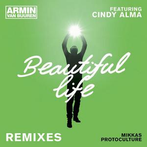 beautiful-life-protoculture-remix_large.jpg