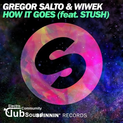 Gregor Salto & Wiwek feat. Stush - How It Goes (Extended Mix).jpg