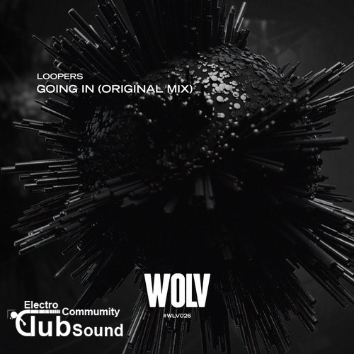Loopers - Going In (Original Mix).jpg
