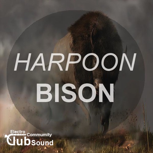 bison.jpg