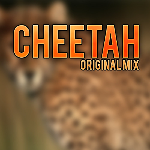 cheetah.jpg