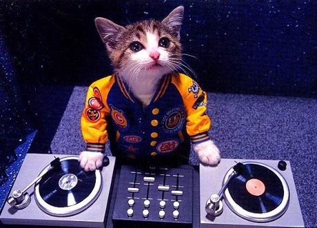 img1F_tmp.jpg : Papajam - Do What I Wanna Do  Radio Edit