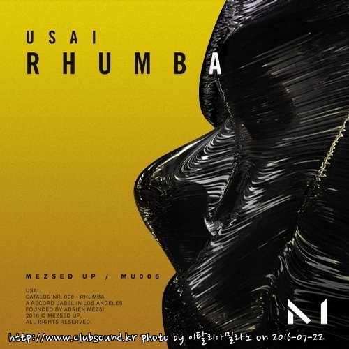 Usai - Rhumba (Original Mix).jpg