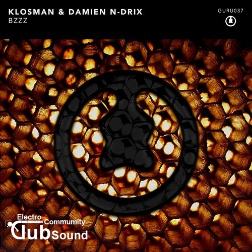 Klosman & Damien N-Drix - Bzzz (Original Mix).jpg