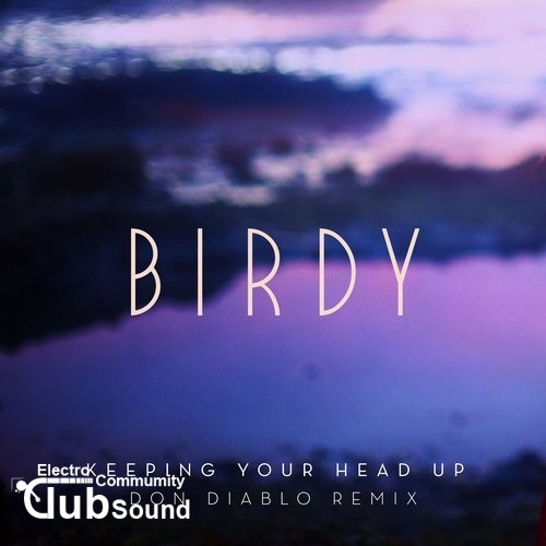 Birdy - Keeping Your Head Up (Don Diablo Remix).jpg