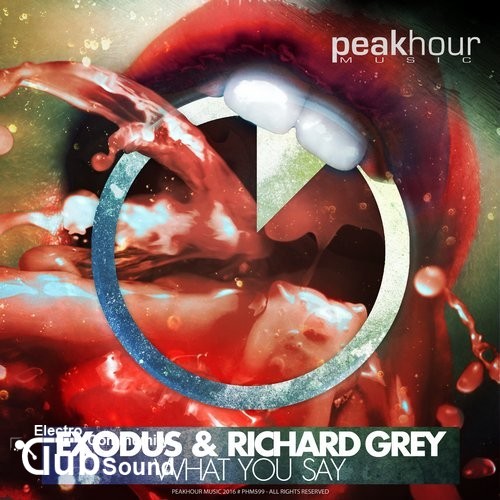 Exodus & Richard Grey - What You Say (Original Mix).jpg