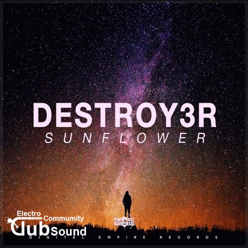 Destroy3r - Sunflower (Original Mix).jpg