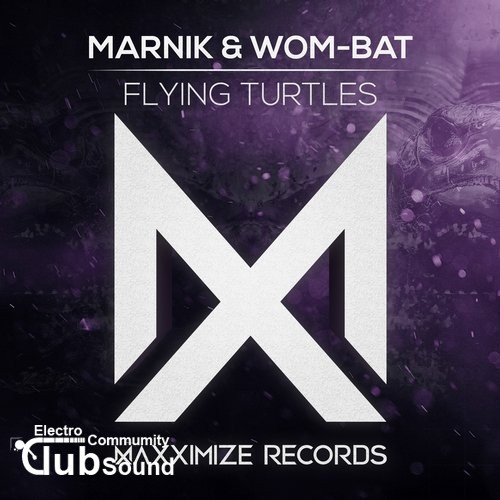 Marnik & Wom-bat - Flying Turtles (Extended Mix).jpg