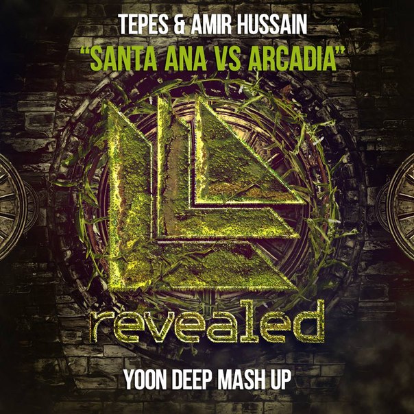 Tepes, Amir Hussain, Hardwell - Santa Ana VS. Arcadia (YoonDeep Mashup).jpg