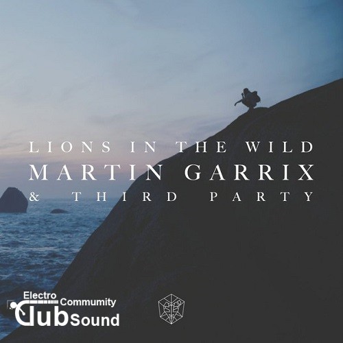 Martin Garrix & Third Party - Lions in the Wild (Original Mix).jpg
