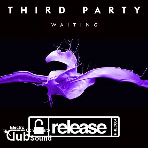 Third Party - Waiting (Original Mix).jpg